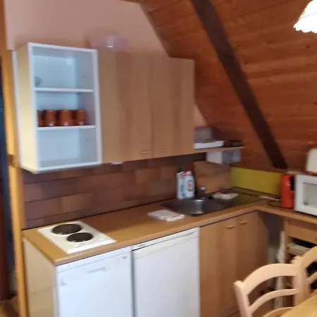 Apartment Cerna Ricka