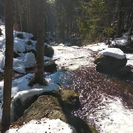 černá říčka Apartamento Desná